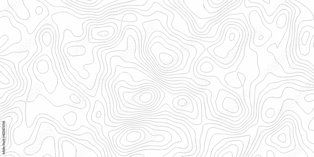 Seamless pattern with White sea map and topographic contours map background,curved reliefs abstract background. Topographic map patterns, topography line map. White background with topographic.