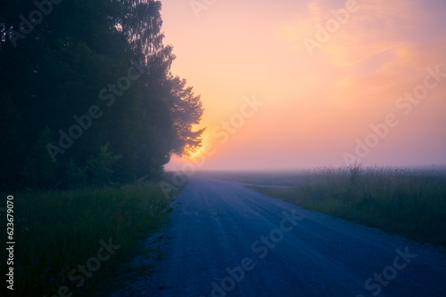 Misty Pathways  Enchanting Gravel Dirt Country Road in a Summer Morning Fog in Northern Europe