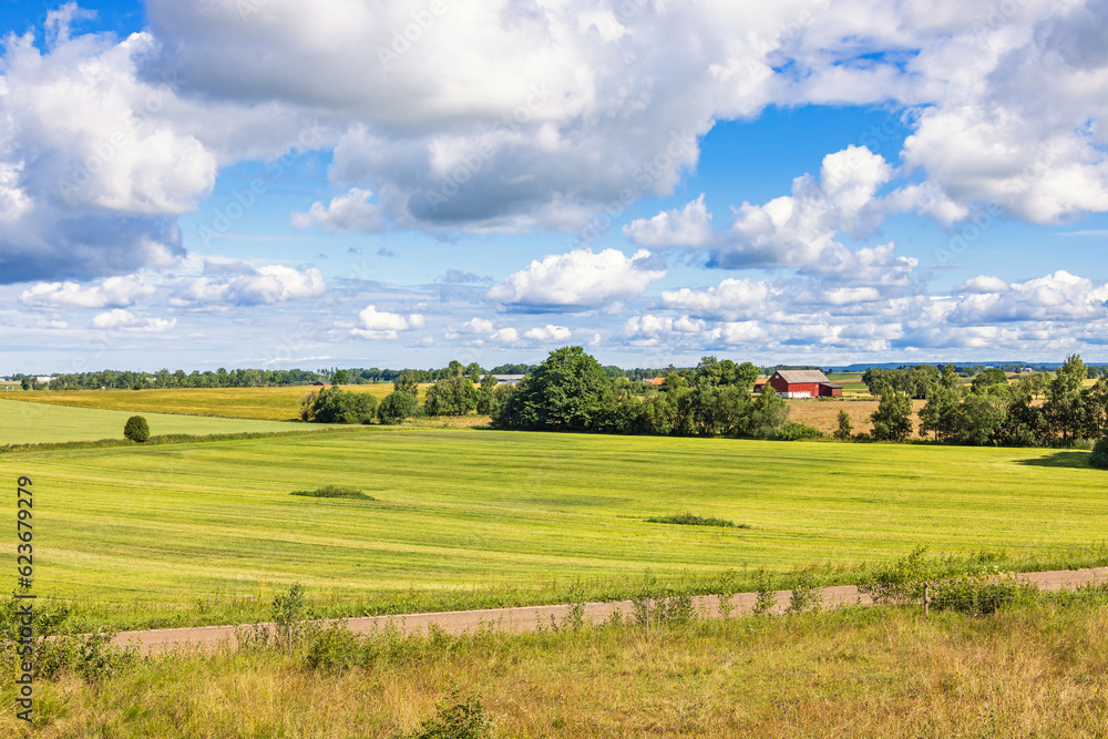 Beautiful view in the countryside at summer by a road Beautiful view in the countryside at summer by a road
