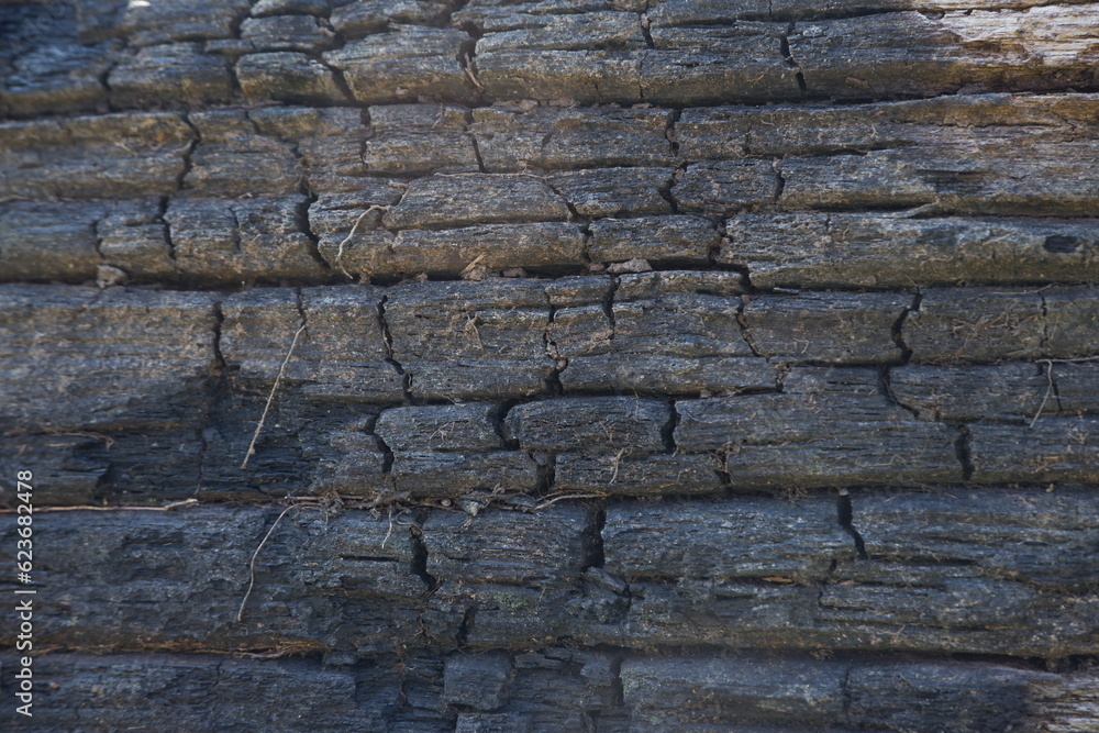 wood texture background burning and turning into wood charcoal. photo concept for forest burning, illegal logging causing climate change wood texture background burning and turning into wood charcoal. photo concept for forest burning, illegal logging causing climate change