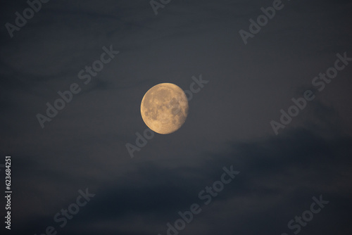 Lunar Serenade: Mystical Moon Illuminating the Early Morning Sky in Northern Europe