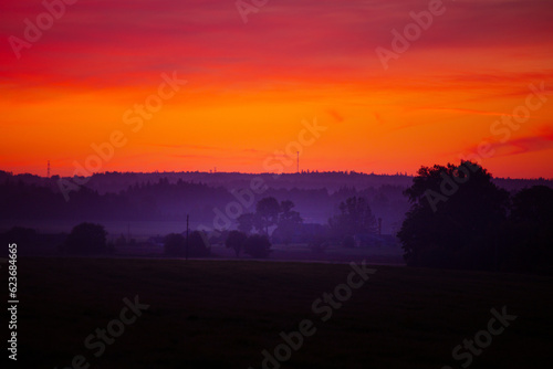 Mystical Dawn: Serene Foggy Sunrise Embracing Summer Fields in Northern Europe