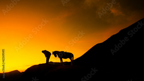 silhouette of a man and horse on the sunset