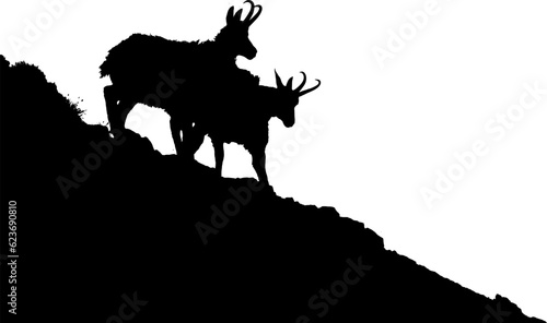 The Tatra Chamois, Rupicapra rupicapra tatrica. Dark silhouette of a chamois an a rocky cliff in a white background with a copy space vector image. photo