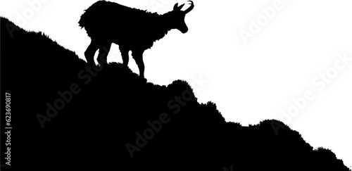 The Tatra Chamois, Rupicapra rupicapra tatrica. Dark silhouette of a chamois an a rocky cliff in a white background with a copy space vector image.
