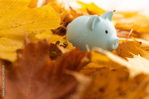 Pink piggy Bank in autumn leaves on the ground. Autumn background.
