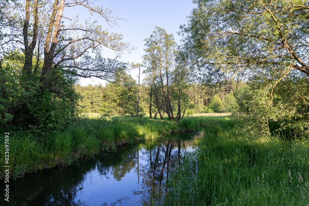 a small river in eastern Europe in the summer