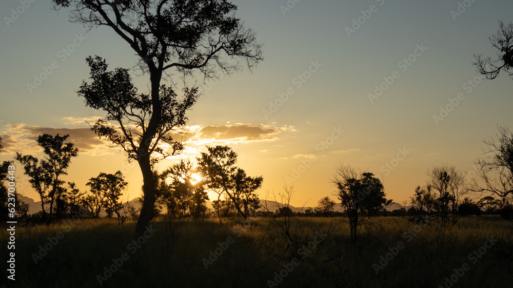 View over savannah close to Kruger National Park in South Africa at sunset. View over savannah close to Kruger National Park in South Africa at sunset.