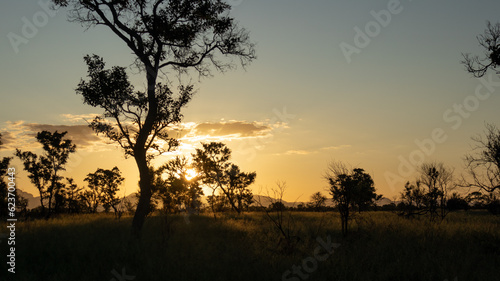 View over savannah close to Kruger National Park in South Africa at sunset.