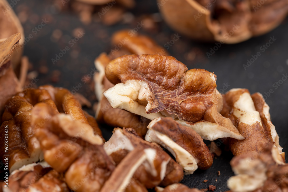fresh crop of pecans on the surface fresh crop of pecans on the surface