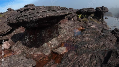POV trekking on flat top area of Mount Roraima with black rock formations and rain water in crevices, Canaima National Park, Venezuela, South America