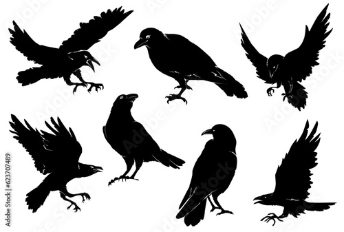 crows Fototapeta