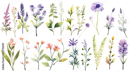 Watercolor elements - wildflowers, herbs, flowers, leaf. Garden and wild, forest herb, branches. Isolated on white background.ai generative