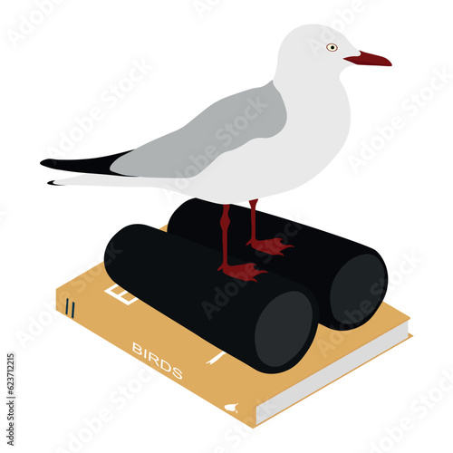 Silver gull (Chroicocephalus novaehollandiae) sits on black binoculars and on a bird identification guide book . Birdwatching, ornithology, birding. Isolated on white background. Vector illustration.