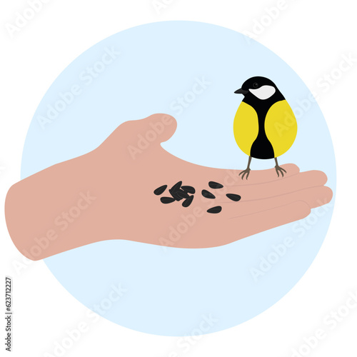 Great tit (Parus major) in the palm. Man feeding a bird sunflower seeds. Hand, arm with bird isolated on white background. Naturalist, birdwatching, ornithology. Vector illustration.