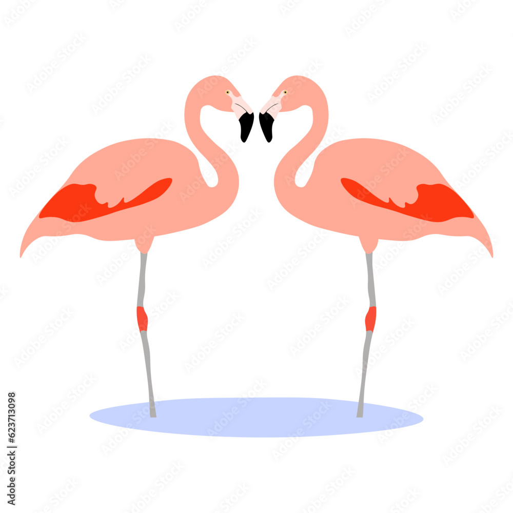 Obraz premium Couple Chilean flamingo characters. Phoenicopterus chilensis isolated on white background. Bird in love who stood up in the shape of a heart. Valentine's Day. Vector illustration.