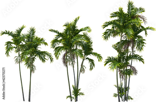 palm tree, macarthur palms, hq arch viz cutout 3d render