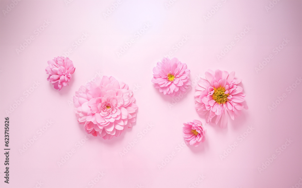 Beautiful pink pastel flowers background with copy space Beautiful pink pastel flowers background with copy space