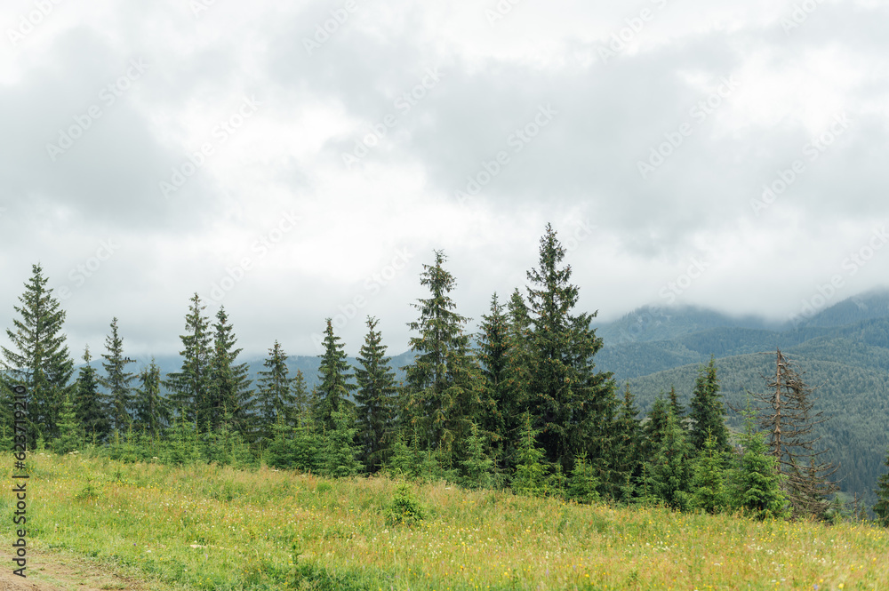 Fototapeta premium Green Ukrainian mountains. Summer time. Beautiful views of the largest peaks.