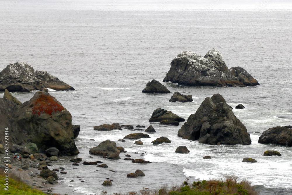 The rocky coast of the Pacific Ocean in the United States. Background of nature. The rocky coast of the Pacific Ocean in the United States. Background of nature.