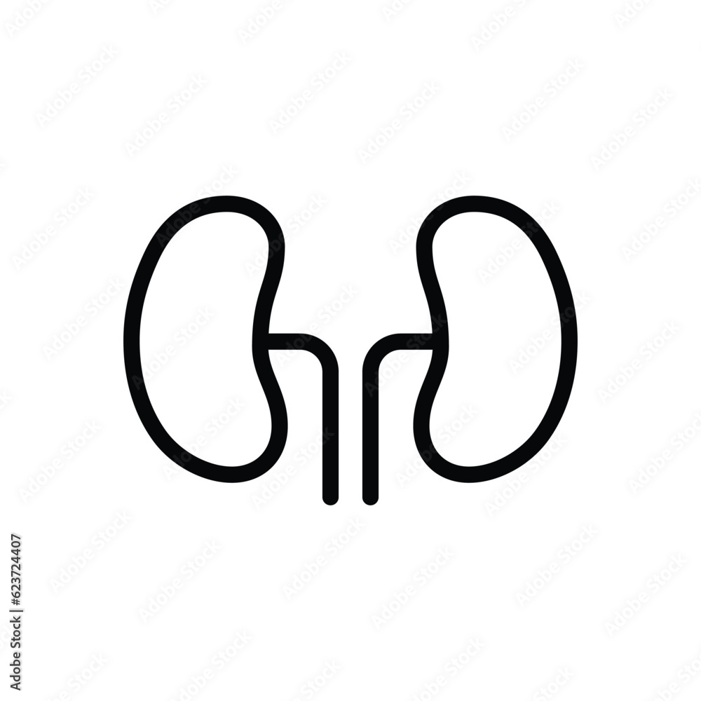 Kidneys vector icon. Kidney flat sign design. Kidneys symbol pictogram. UX UI icon Kidneys vector icon. Kidney flat sign design. Kidneys symbol pictogram. UX UI icon