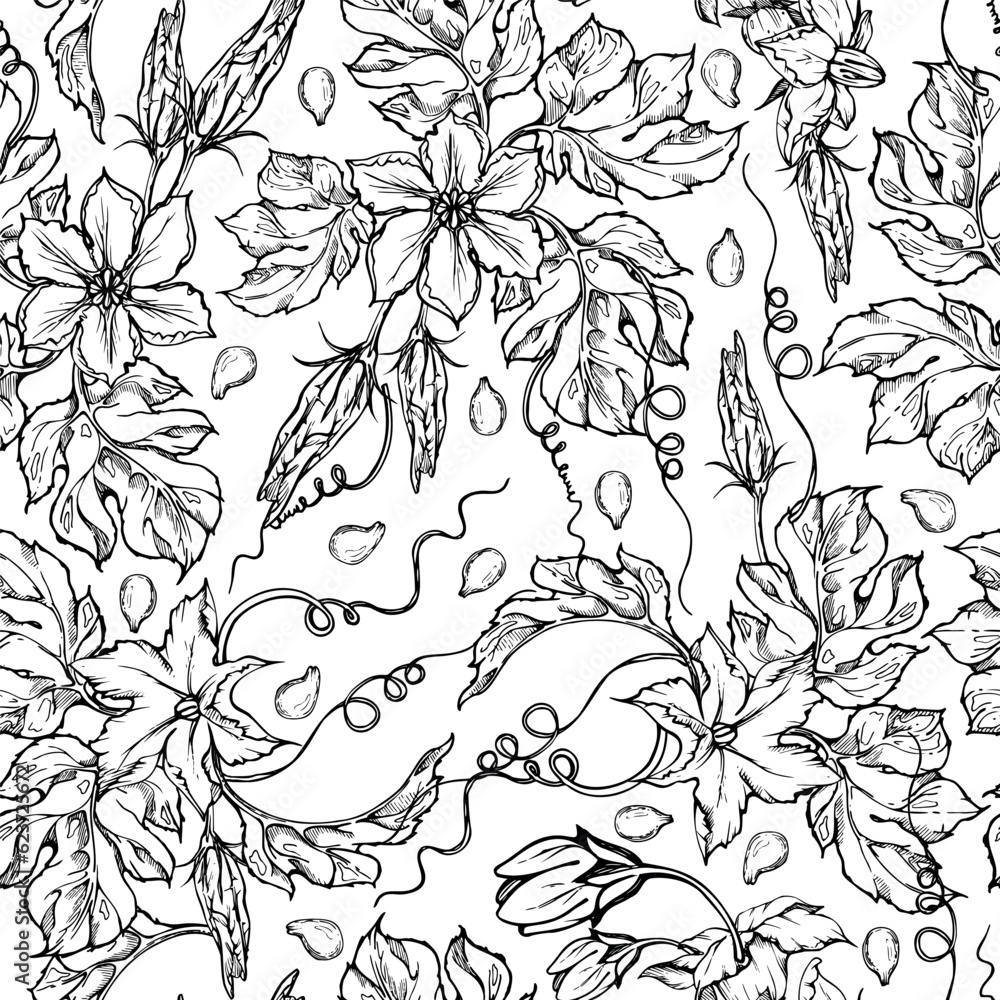 Fototapeta premium Hand drawn ink vector pumpkin gourd squash leaves and flowers. Sketch illustration art for Thanksgiving, harvest, farming. Seamless pattern. Design for restaurant menu print, cafe, website, invitation