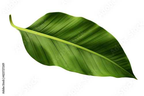 Isolated Banana Leaf on Transparent Background. Generative AI