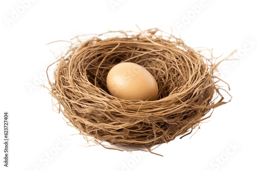 Isolated Bird Nest with One Egg on Transparent Background. Generative AI