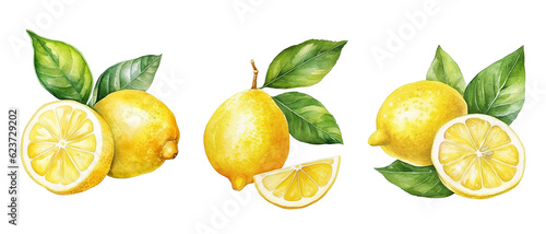 Set of watercolor lemons isolated on white background. 