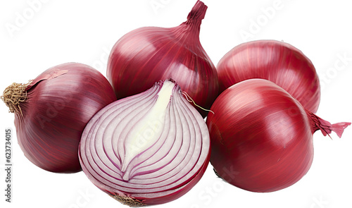 Red Onion Illustration