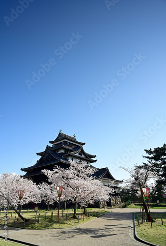 春の松江城