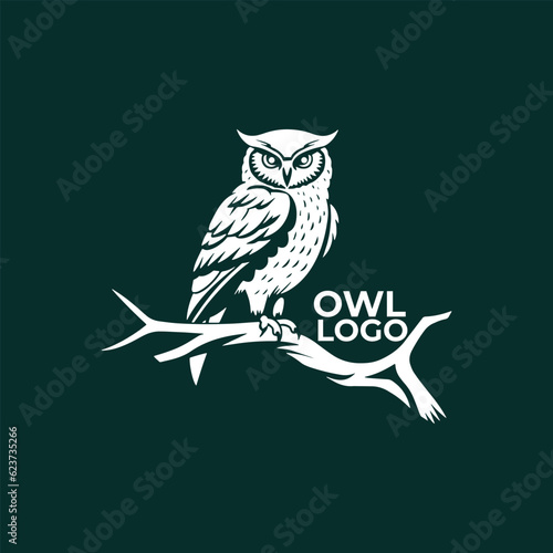 owl, vector concept digital art, hand drawn illustration