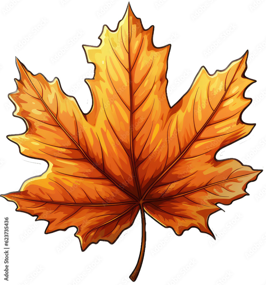 Obraz premium Autumn Leaf Illustration