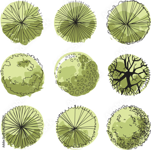 Trees top view plan