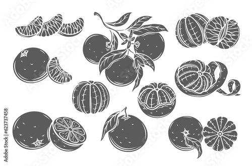 Mandarin glyph icons set vector illustration. Stamps of sweet citrus fruit , silhouettes of whole tangerine branch with leaf, clementine slice, mandarin cut in half