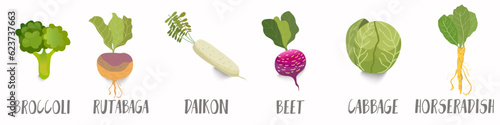 Fotografie Vector vegetables icons set in cartoon style
