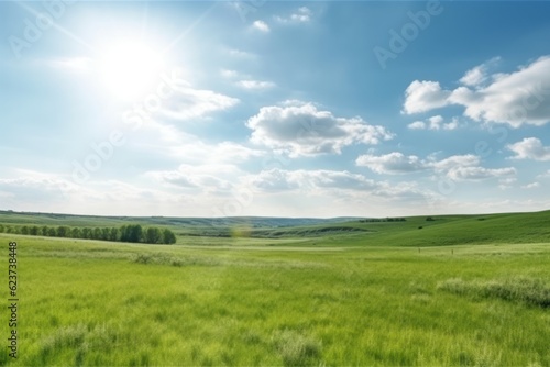 Serene Spring Landscape with Green Field and Blue Sky