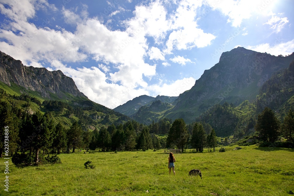 Femme chien dans la montagne forêt Pyrénées prairie soleil