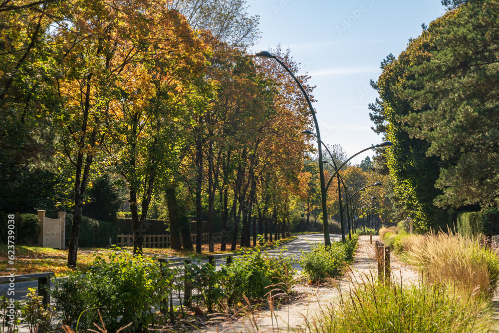 Avenue François 1er à Hardelot-plage, à l'automne