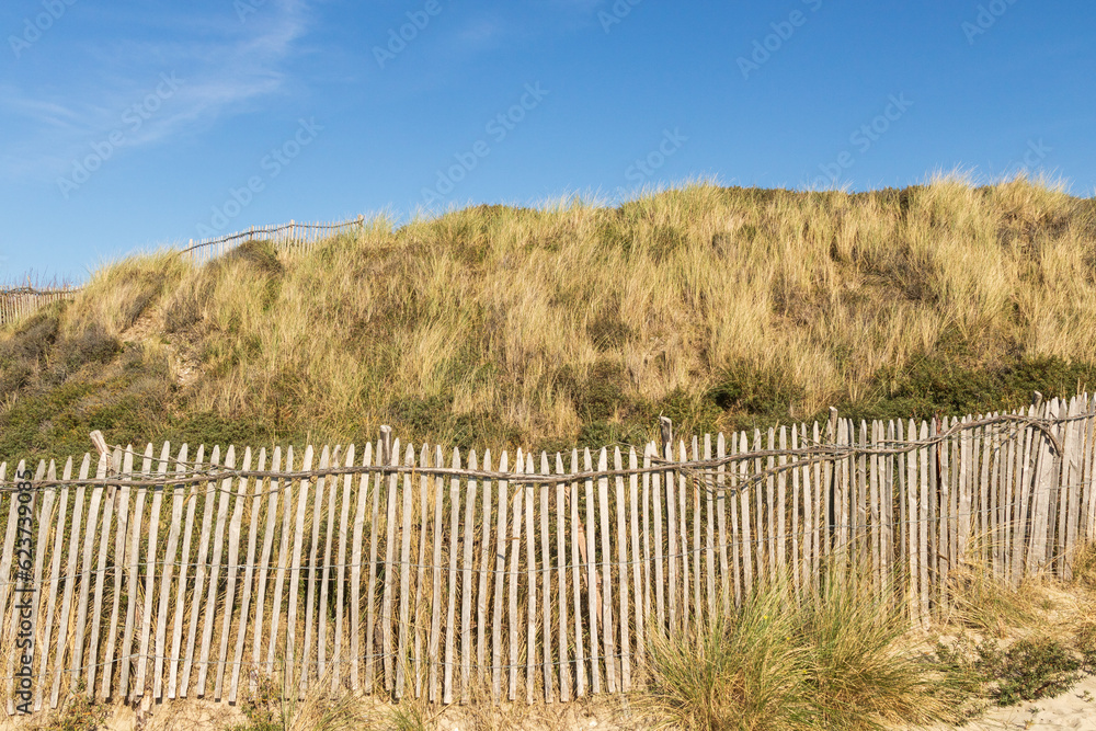 Fototapeta premium Aménagement des dunes contre l'érosion