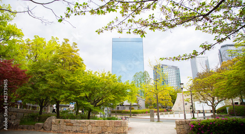 The big buildings behind the big green trees scenes.