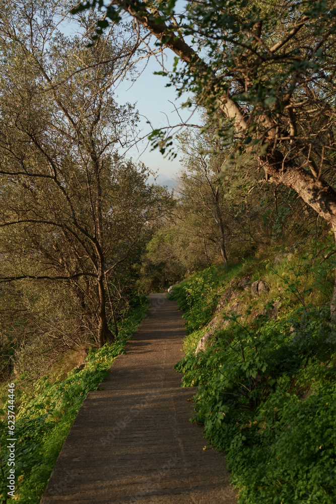 Mont Boron trail path for walking or hiking