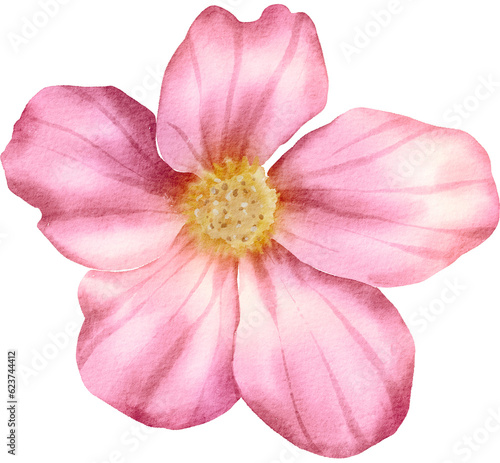 Pink Watercolor Flower Illustration