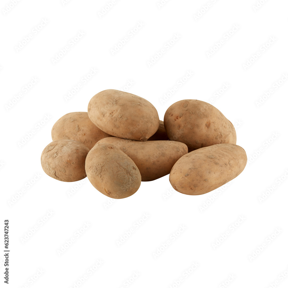 Fresh potatoes, soiled with mud cut out isolated transparent background Fresh potatoes, soiled with mud cut out isolated transparent background