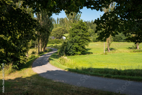 Asphalt road leading between trees