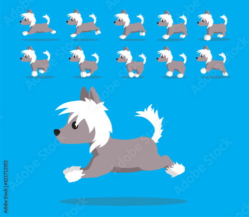 Animal Animation Sequence Dog Chinese Crested Cartoon Vecto