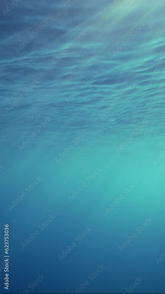 Vertical video, Underwater sunbeams, slow motion. Underwater sun rays in Ocean. sun's rays penetrate underwater into blue water through sea waves. Vertical video, Underwater sunbeams, slow motion. Underwater sun rays in Ocean. sun's rays penetrate underwater into blue water through sea waves.