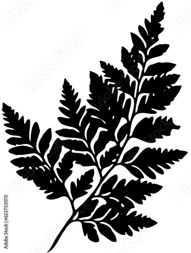 fern leaf silhouette vector eps 10