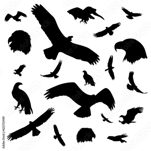 vector eagle silhouette collection