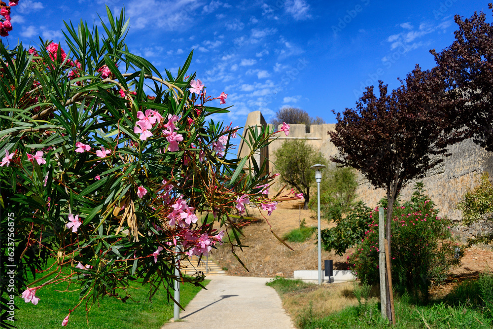 Lagos, Algarve, Portugal, Europe - fortified walls form a protective ring around historic centre, seen from ProPutting garden - city park with flowering oleanders near Praça das Armas